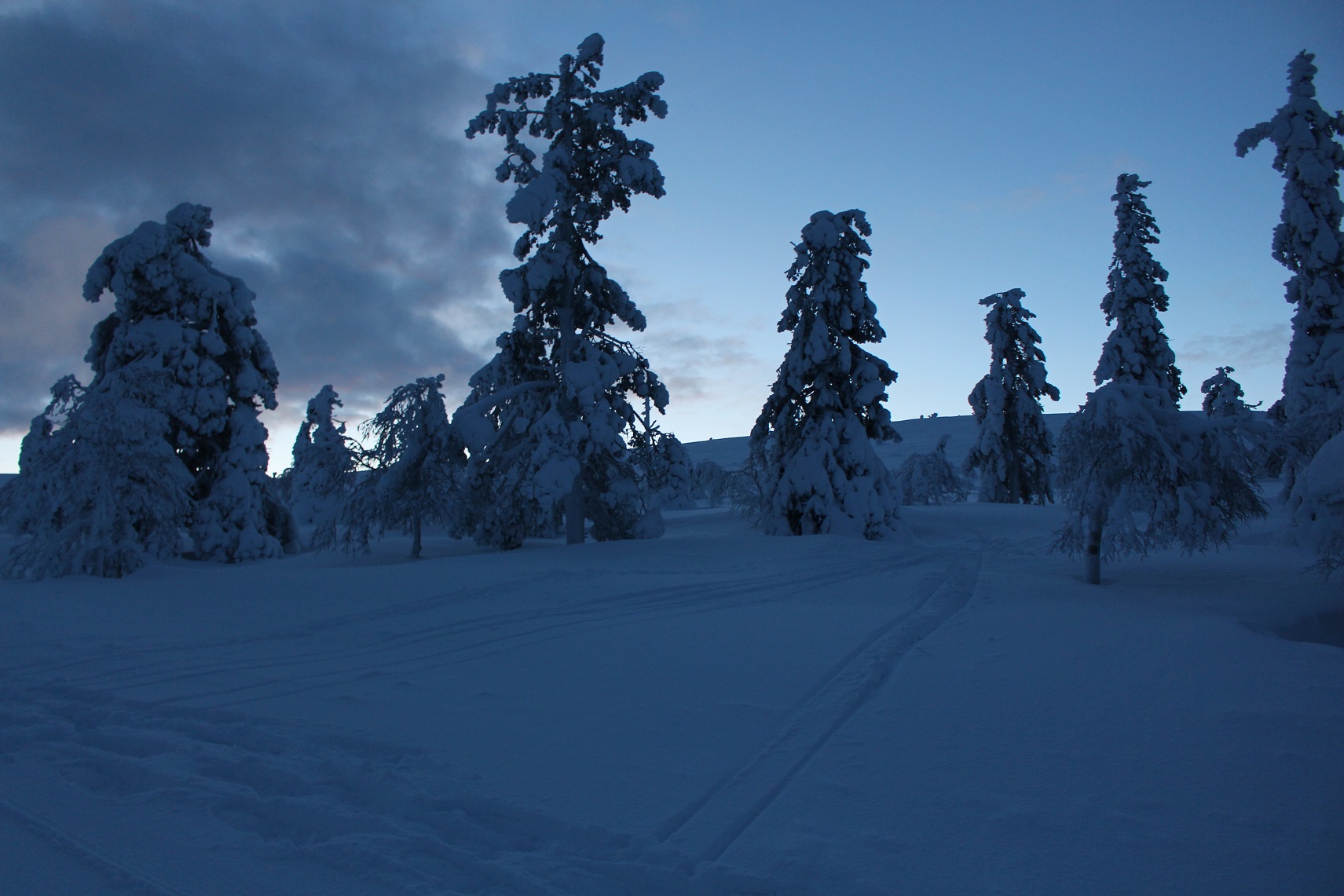 Pallas-Yllastunturi National Park
