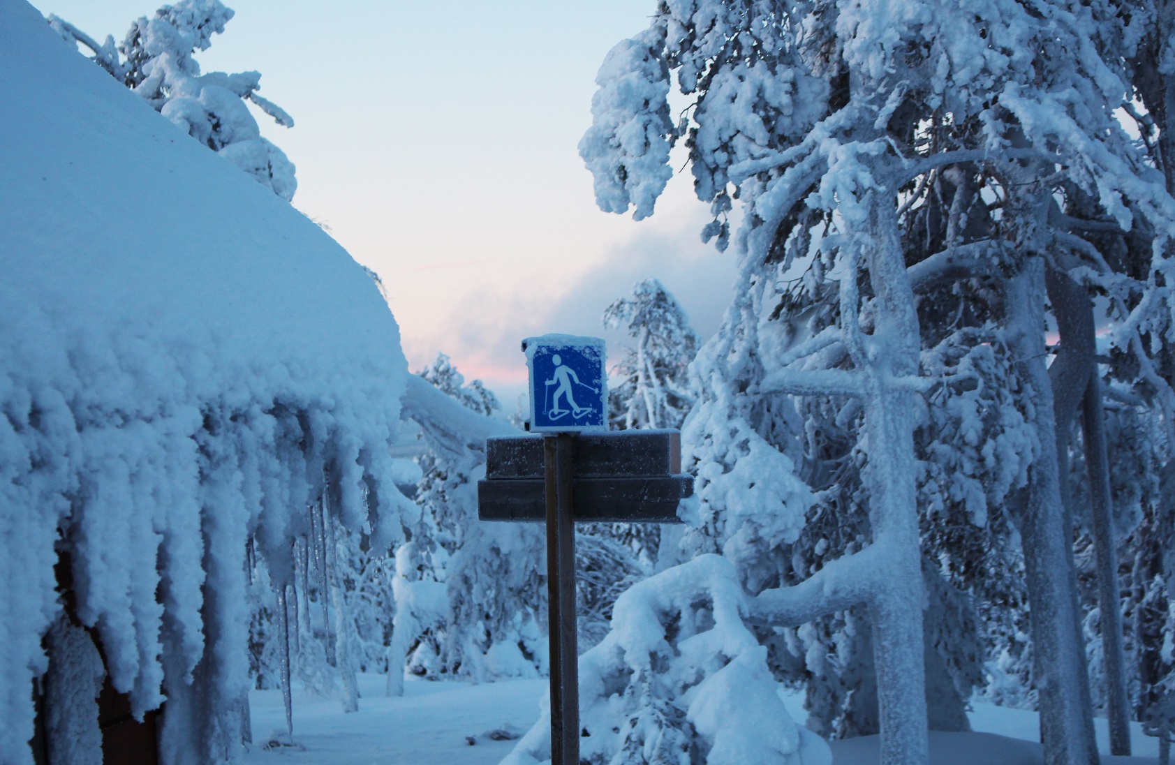 Pallas-Yllastunturi National Park