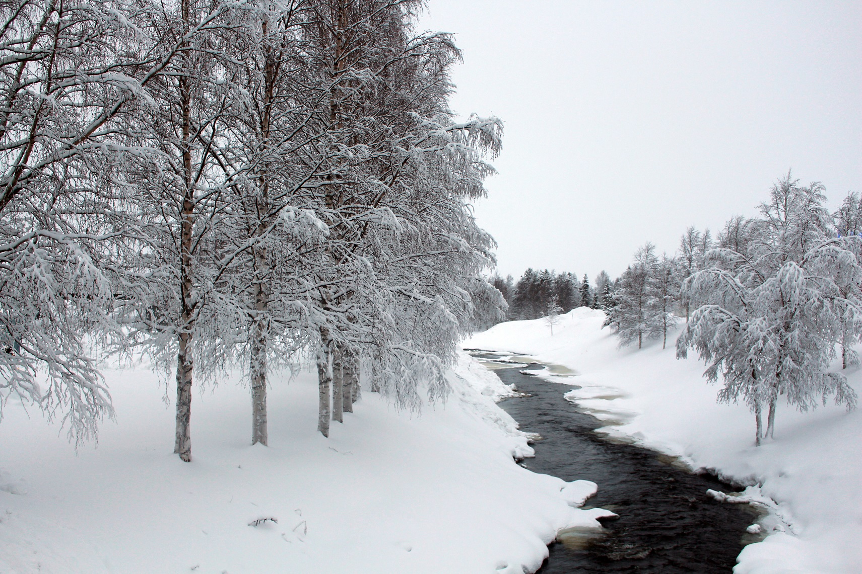 Pallas-Yllastunturi National Park