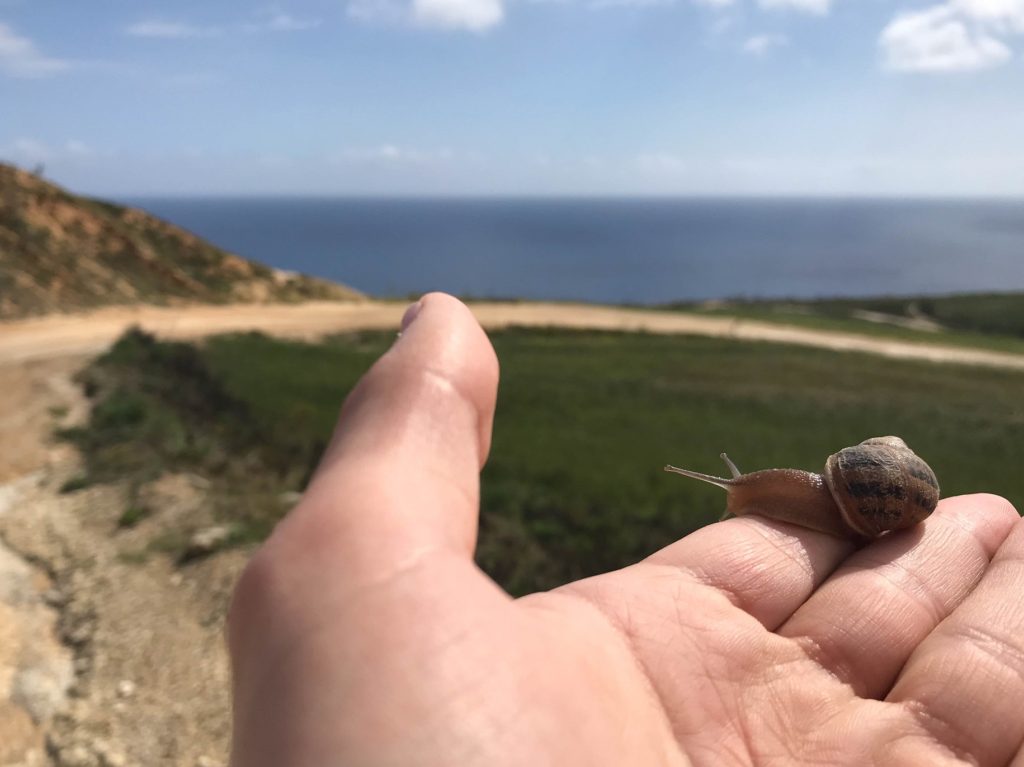 Malta
