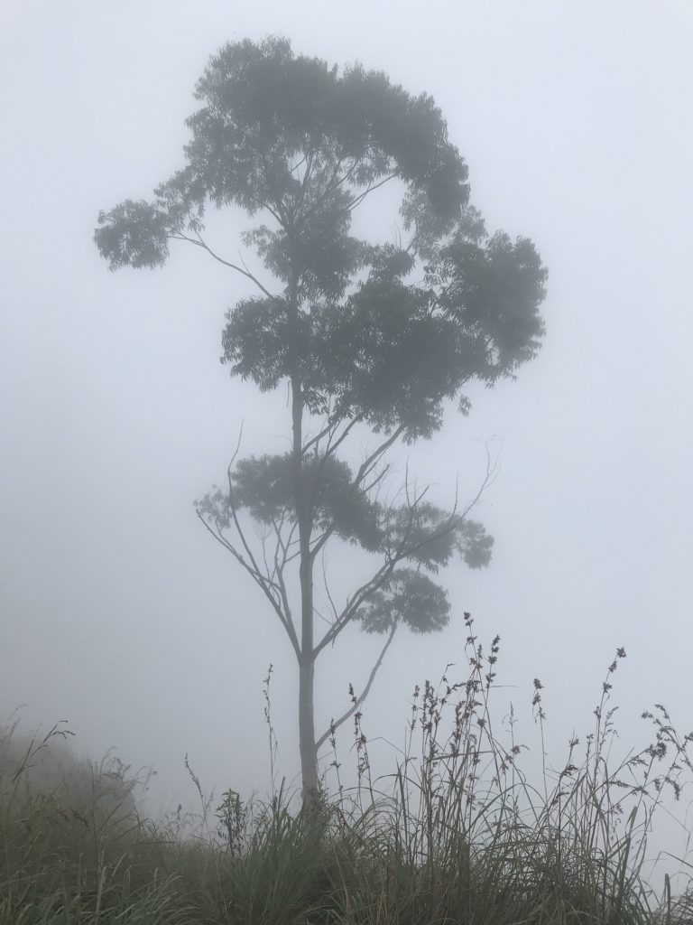Шри-Ланка Sri Lanka