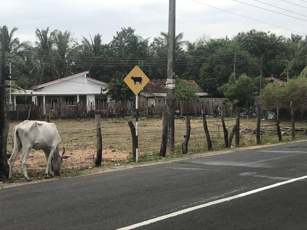 Шри-Ланка Sri Lanka
