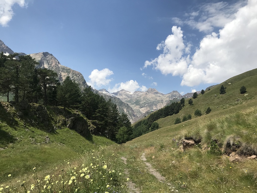 Elbrus 2020